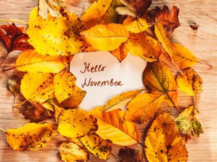 10-Nov: The Significance and Celebrations of November 10th