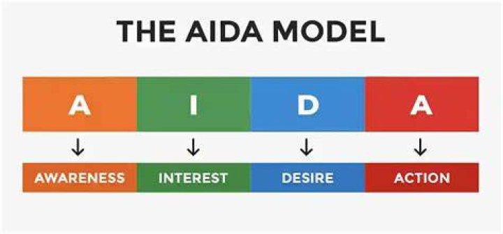 A Comprehensive Look at Aida Merla O: An Inspirational Journey