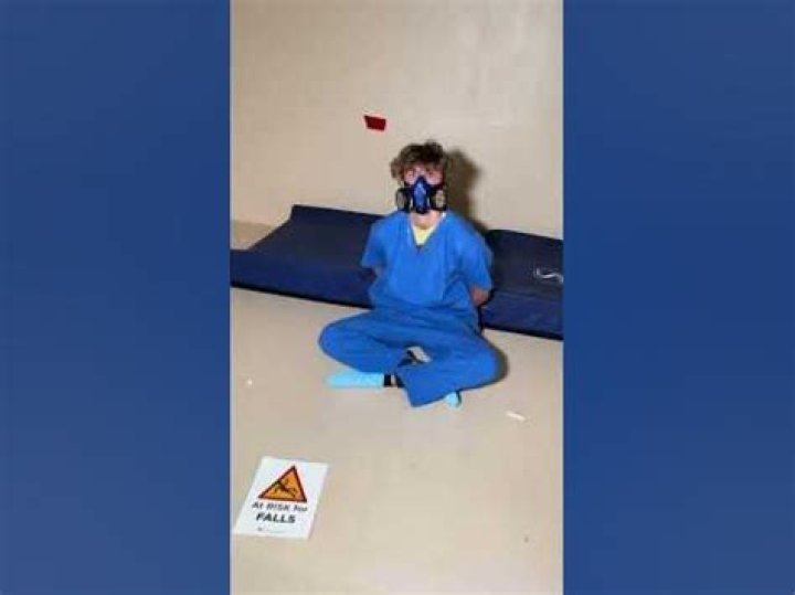 A Rat in a Rubber Room: A Unique Perspective on Isolation and Freedom