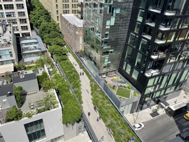 Adopt a Lot NYC: Transforming Urban Spaces into Green Oases