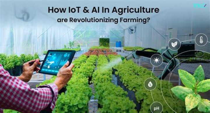 Agvantage Software: Revolutionizing Agricultural Management with Advanced Solutions