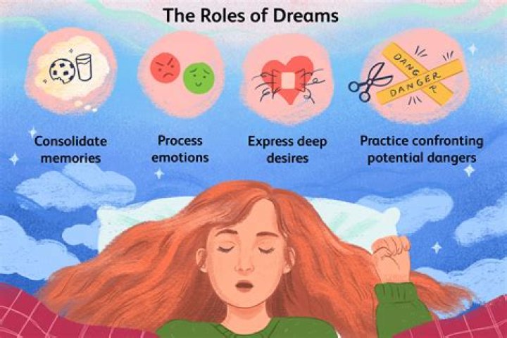 Am I Only Dreaming? Understanding the Nature of Dreams