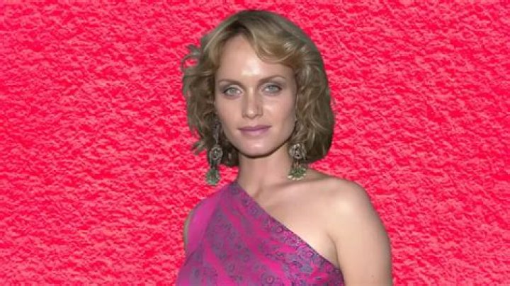 Amber Valletta Net Worth: A Comprehensive Look at Her Wealth and Success