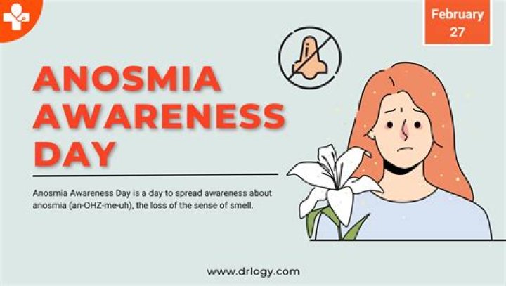 Anosmia Stolte: Understanding the Condition and Its Impact