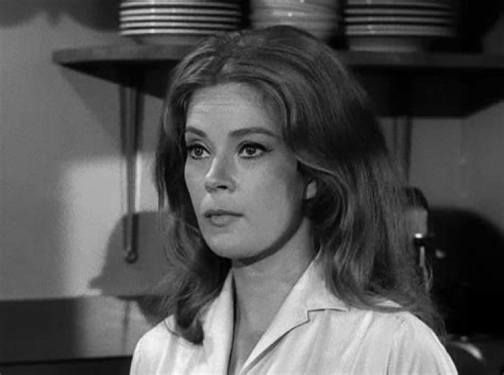 Antoinette Bower: A Comprehensive Exploration of Her Life and Career