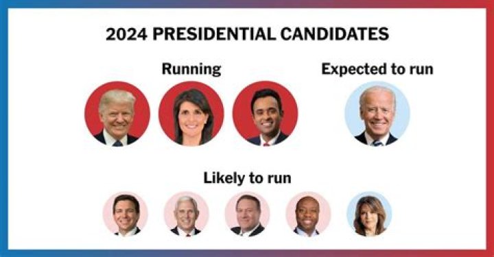 Ashley Judd's Partner for the 2024 Election: Who's in the Running?