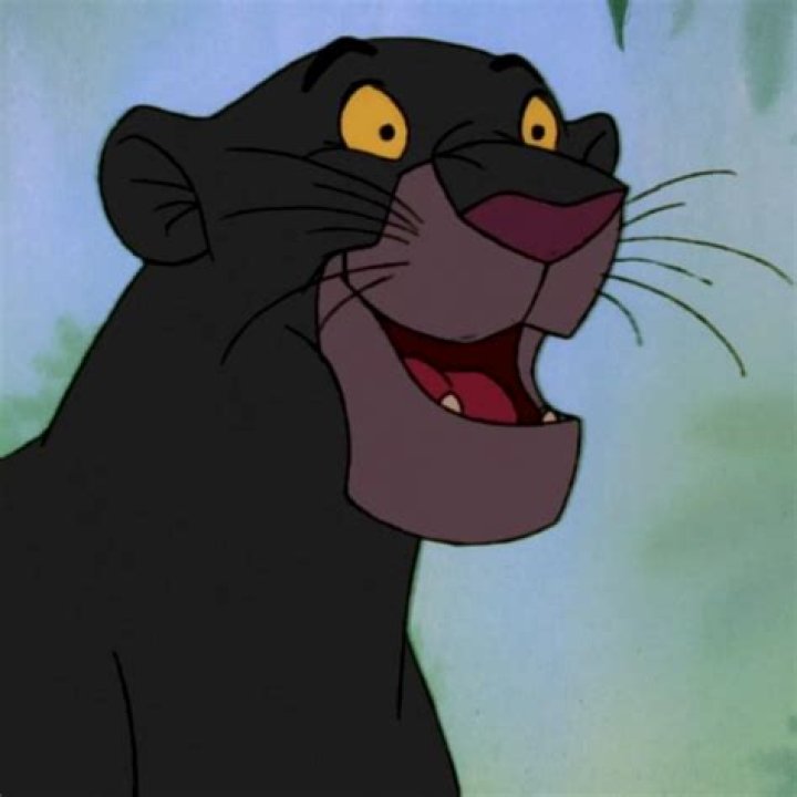 Baghera: The Charismatic Panther's Influence and Legacy