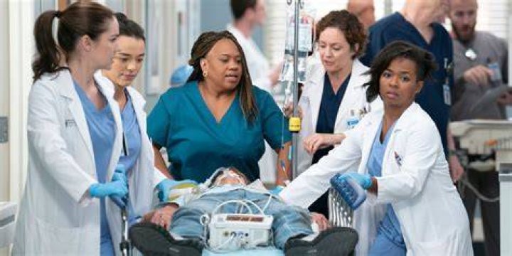 Bailey on Grey's Anatomy: The Heart of the Surgical Team