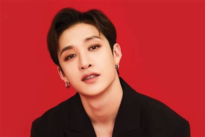 Beneath the Spotlight: Exploring Bang Chan's Height and More