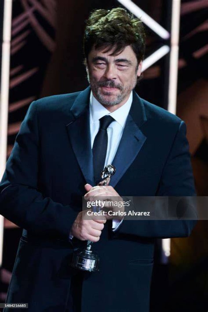 Benicio Del Toro Awards and Nominations: A Comprehensive Overview