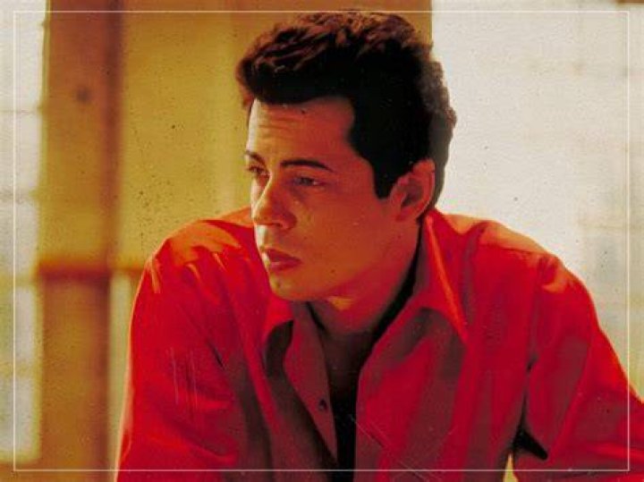 Benicio Del Toro: The Visionary Behind "S" - A Deep Dive into His Directorial Journey