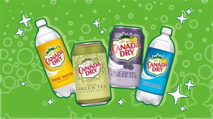 Best Canada Dry Products: Refreshing, Unique Beverages