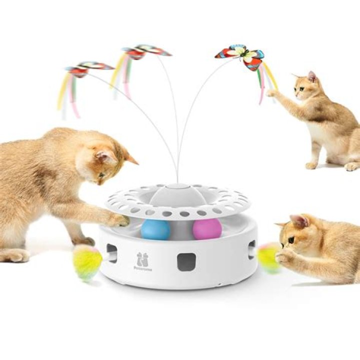 Best Cat Toys: A Comprehensive Guide to Keep Your Feline Friends Engaged