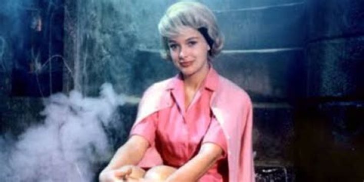 Beverley Owen: The Life and Career of a Television Icon