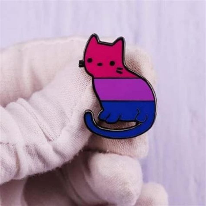 Bisexual Pins: A Guide to Symbols, Significance, and Style