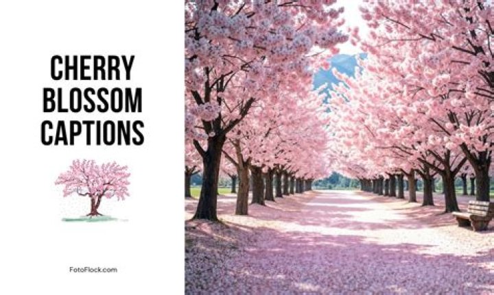 Blossom Captions for Instagram: Perfect Phrases to Celebrate Spring