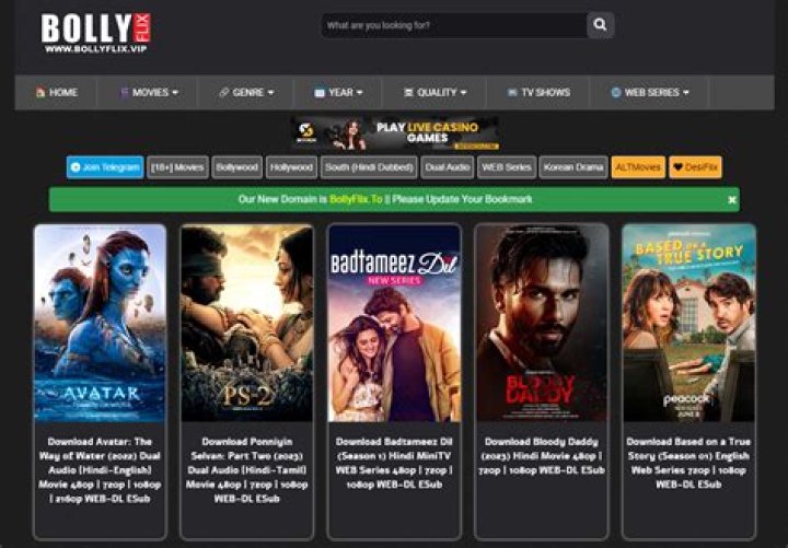 Bollyflix: The Ultimate Guide to Indian Cinema Streaming