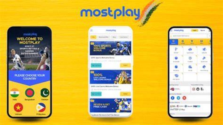 Boly4u: The Ultimate Betting Experience Online