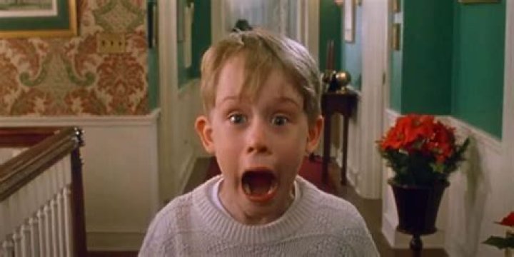 Buzz's Unforgettable Role in "Home Alone": A Cinematic Buzz