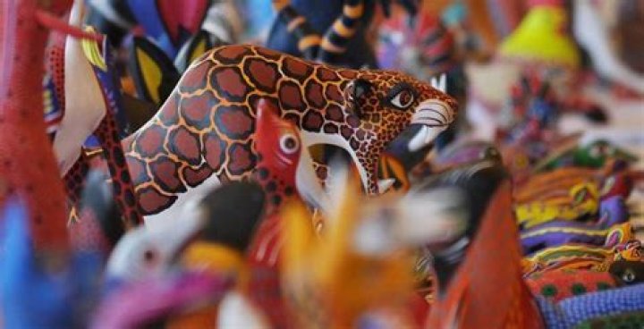 Carolina Samani: The Renowned Artisan Behind Exemplary Woven Art