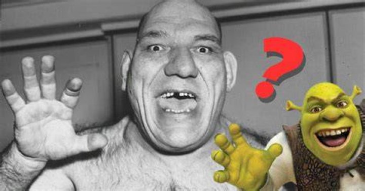 Catchéur Français Shrek: Un Voyage dans l'Univers de l'Ane et de l'Ogre