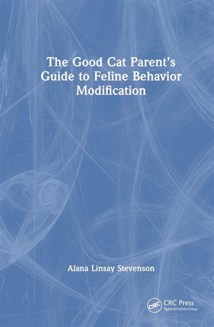 CatKitty21: The Ultimate Guide to Feline Enthusiasm and Care