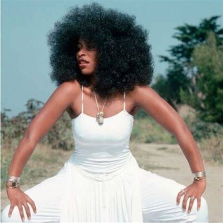 Chaka Khan Real Hair: A Deep Dive into Her Iconic Hairstyles