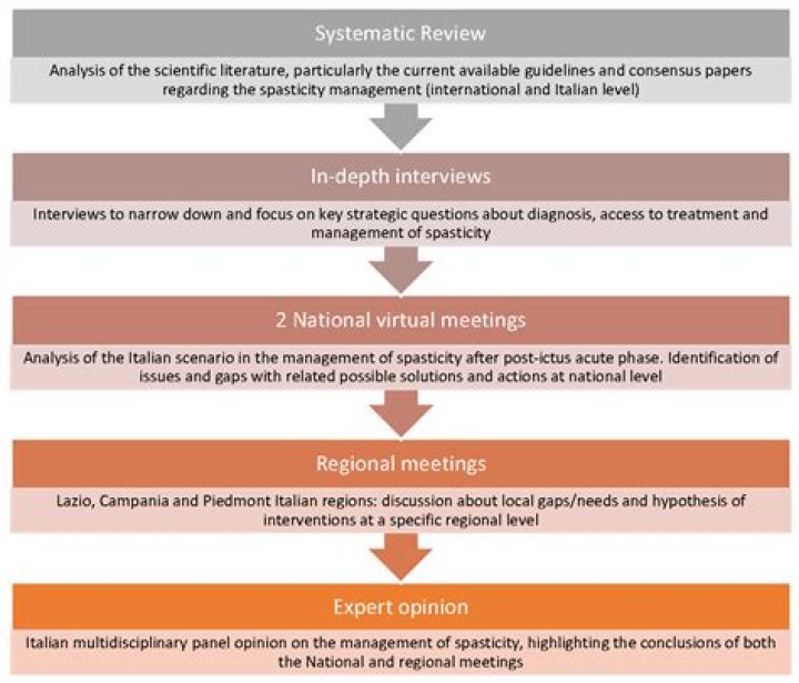 Comprehensive Guide to Vivi Nevo Treatment and Management