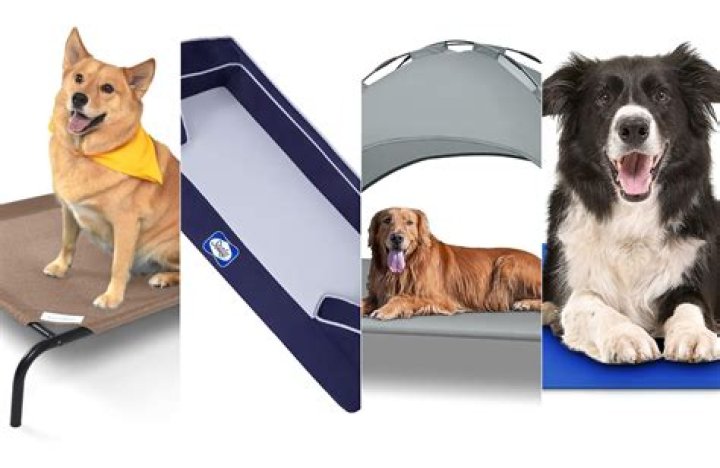 Cooling Dog Bed: The Ultimate Solution for Your Pet's Comfort