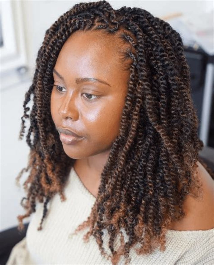 Cornrows and Kinky Twists: A Comprehensive Guide to Protective Hairstyles