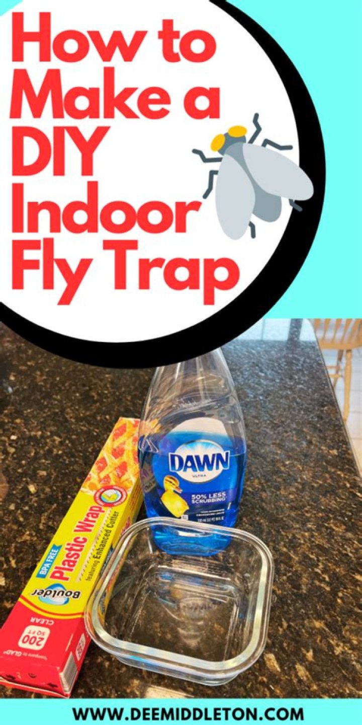 Crafting Your Own DIY Fly Trap: An Eco-Friendly Solution