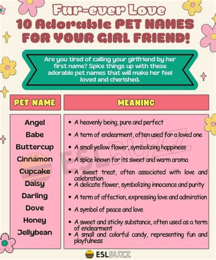 Creative and Cute Relationship Pet Names: A Guide to Expressing Your Love