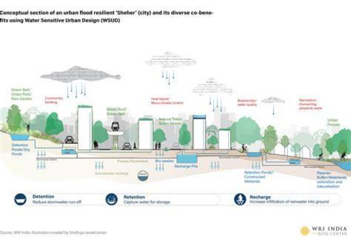 Darcy Andrews Urban Flood Safety: Strategies for a Resilient City