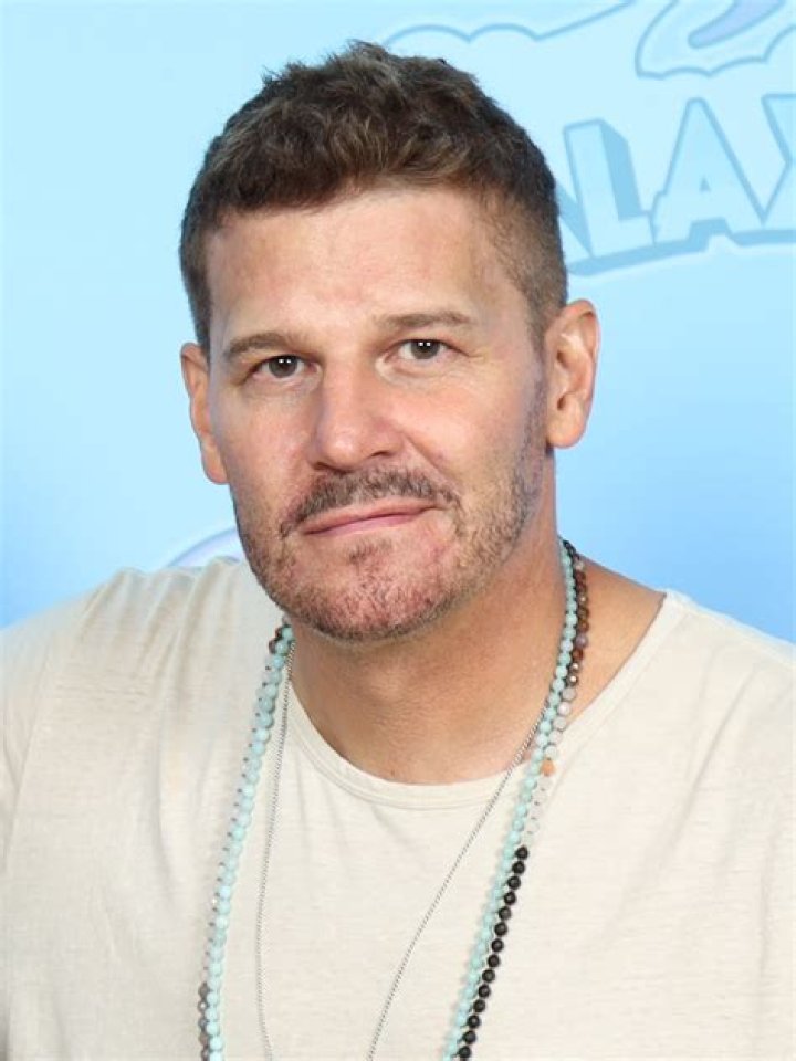 David Boreanaz Net Worth: A Comprehensive Analysis of His Success and Wealth
