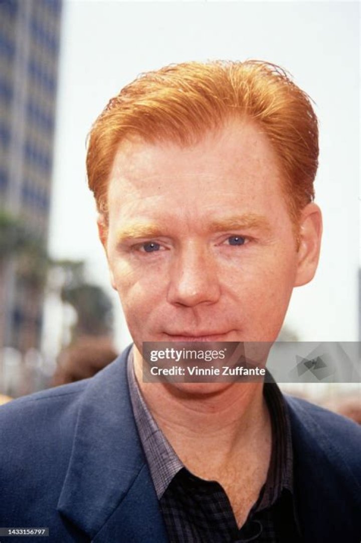 David Caruso: The Journey of a Versatile Actor and Producer