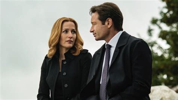 David Duchovny Movies and TV Shows: A Comprehensive Overview