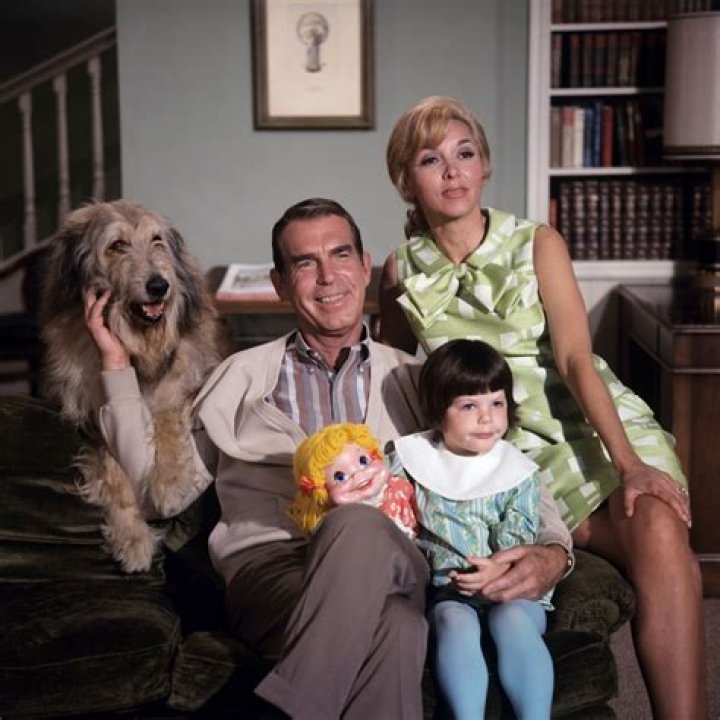 Dawn Lyn: The Beloved Dodie of "My Three Sons"