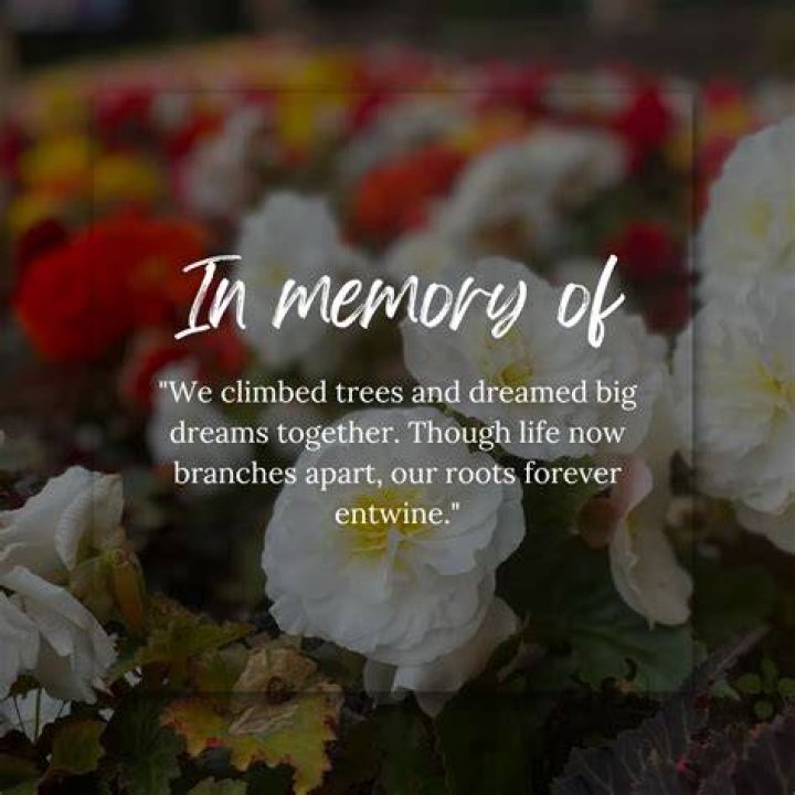 Death Anniversary Phrases: Honoring Memories with Words