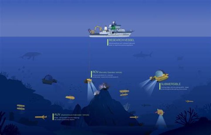 Deep Hot.Link: Exploring the Depths of Online Connectivity