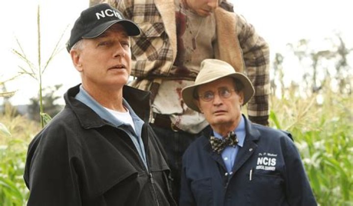 Did the Actor Behind "Ducky" on NCIS Pass Away?