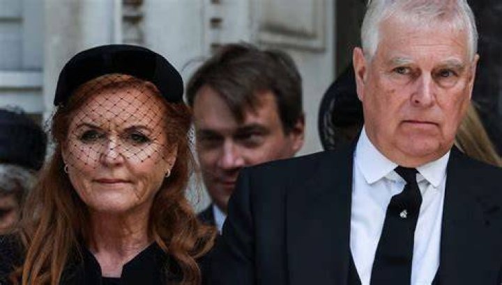 Did the Diricols Go Their Separate Ways? Divorce Rumors Investigated