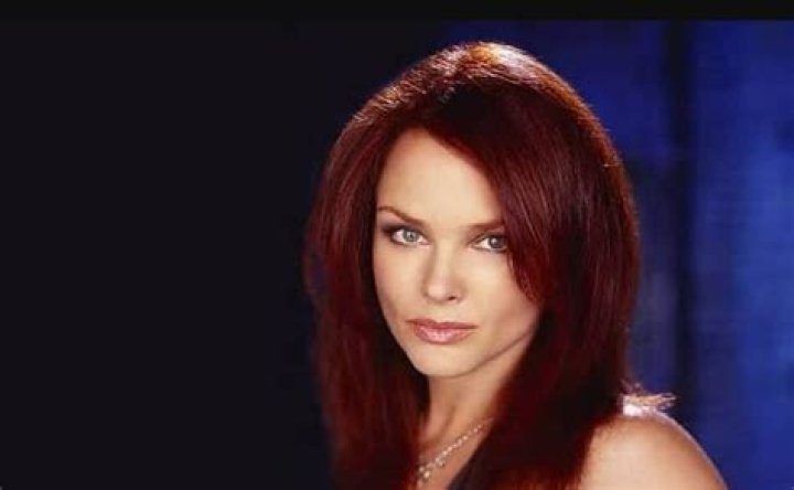 Dina Meyer Measurements: A Comprehensive Insight Into Her Life and Career
