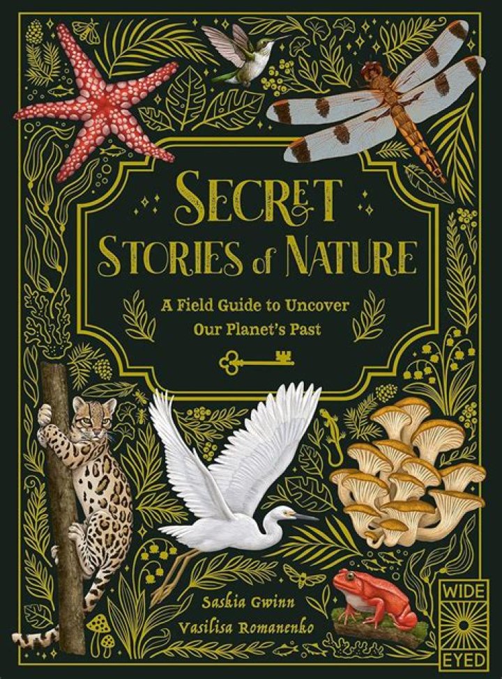 Discover the Enchanting "BritSophie Rain" Experience: Unlocking the Secrets of Nature's Melody