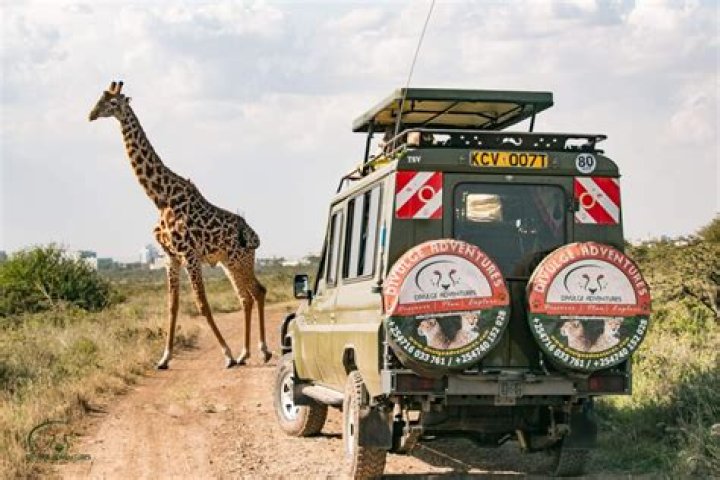 Discover the Heart of Africa: A Guide to Nairobi