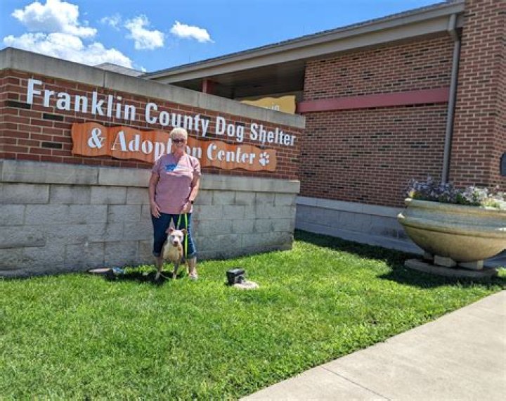 Discover the Heartwarming World of the Franklin County Dog Shelter Adoption Center