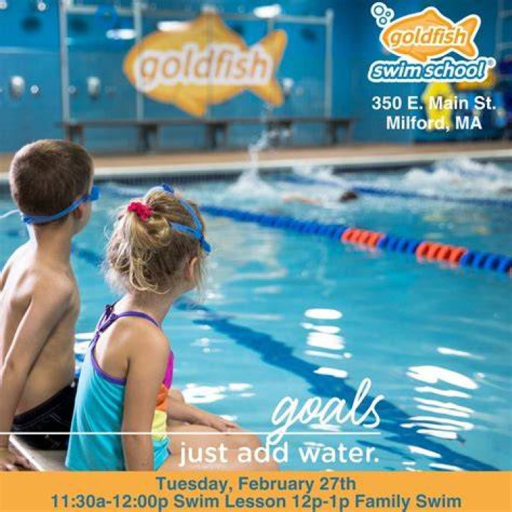 Discover the Joy of Learning at Goldfish Swim School