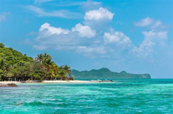 Discover the Paradisiacal Charm of Palm Island, Grenadines