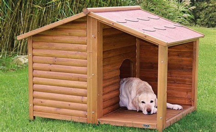 Discover the Perfect Dog House for Sale: A Home for Your Furry Friend