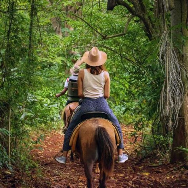 Discover the Thrill of Horseback Riding in Miami