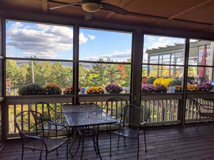 Discover the Unique Experience of Out of the Fire Cafe